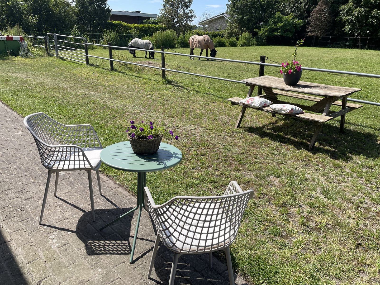 Buitenzitje met uitzicht op de wei met paarden