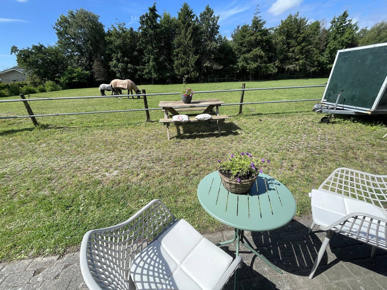 Buitenzitje in de zon met paarden in de wei