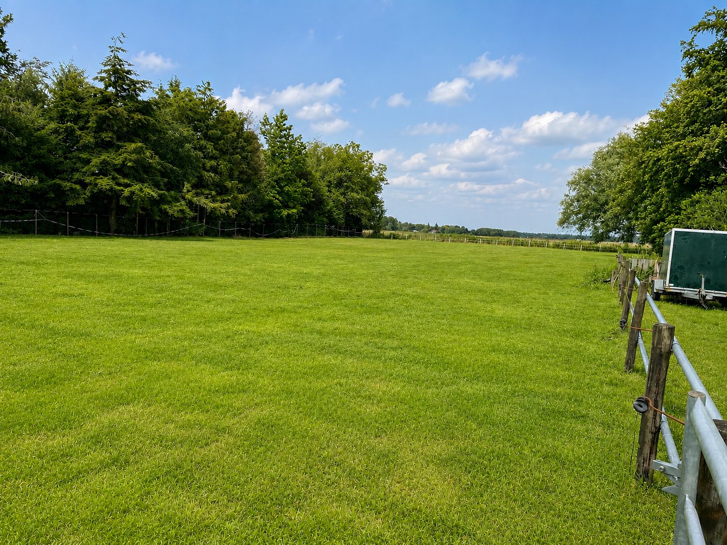 Weids uitzicht over de groene wei rondom B&B Polderhart